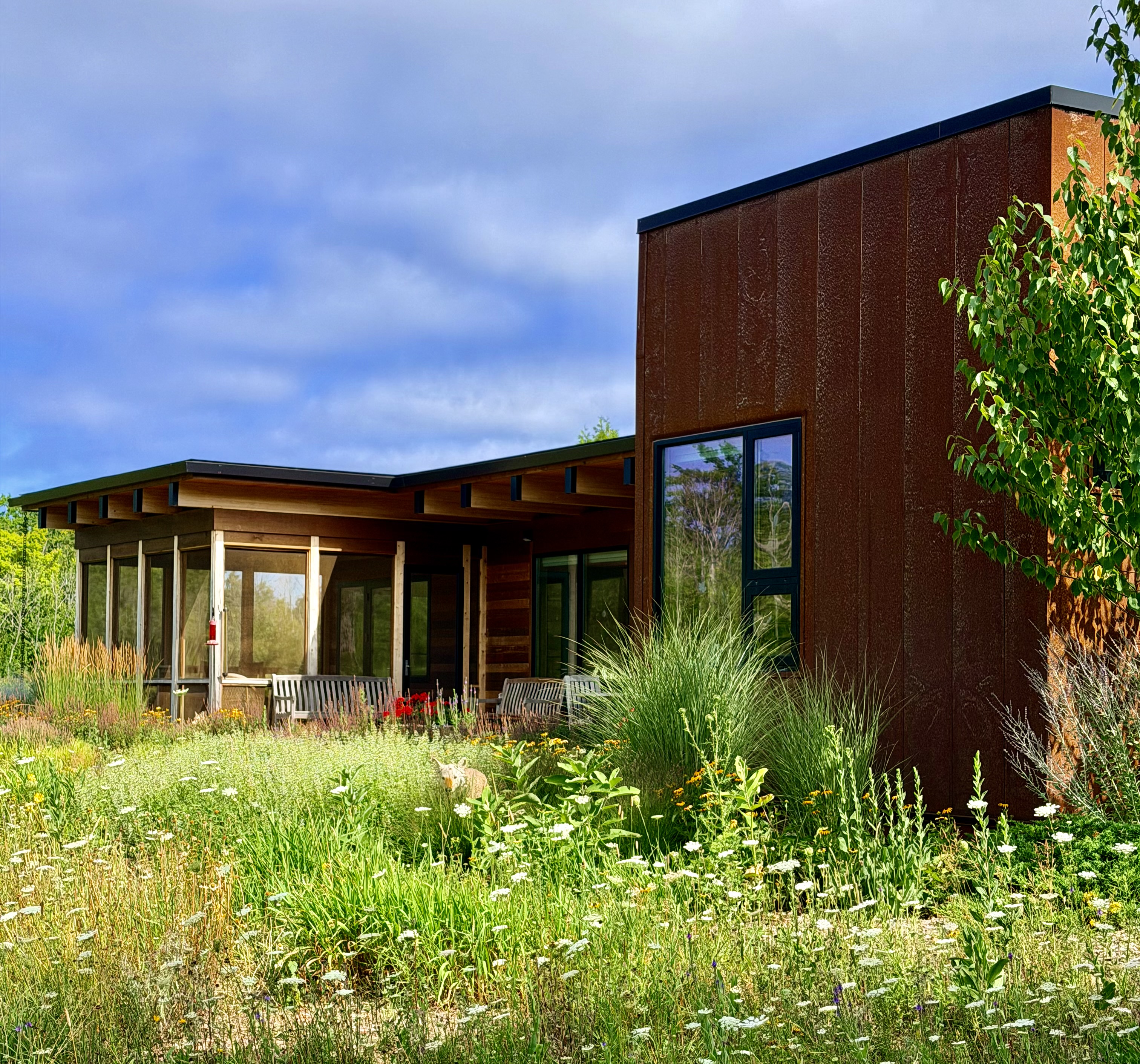 House integrated into the landscape
